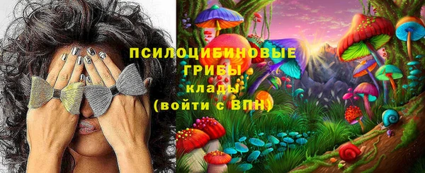 дурь Волосово